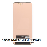 Дисплей за OnePlus Nord CE5 / CPH2719, Oled