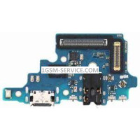 Блок захранване ( PCB ) за Samsung Galaxy Note 10 Lite / N770 , SM-N770F + микрофон